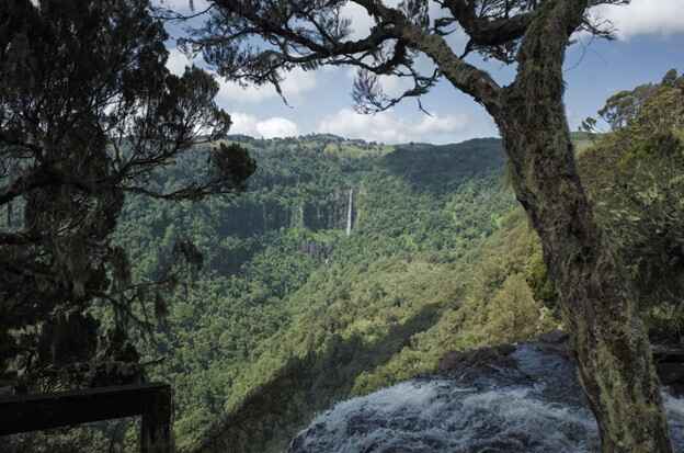 Green Mount at Mount Kipipiri