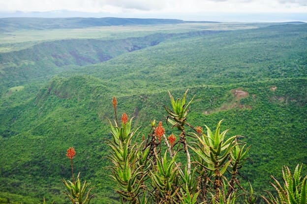 Mount Suswa