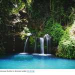 Ngare Ndare Swimming Ngare Ndare Swimming