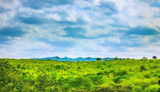 Ngong Hills View