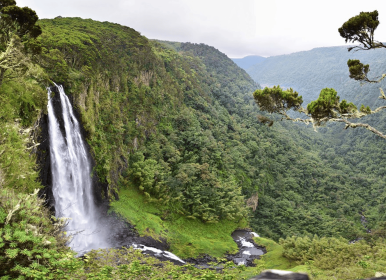 Aberdare-National-parkBest-Hiking-Trails-In-Kenya