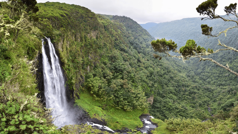 Aberdare-National-parkBest-Hiking-Trails-In-Kenya