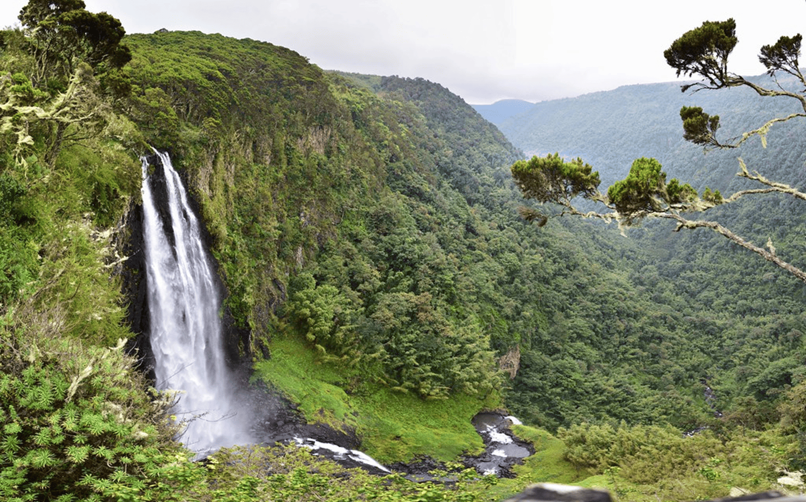 Aberdare-National-parkBest-Hiking-Trails-In-Kenya