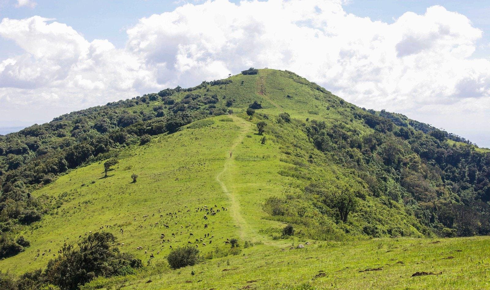 Kijabe Hills