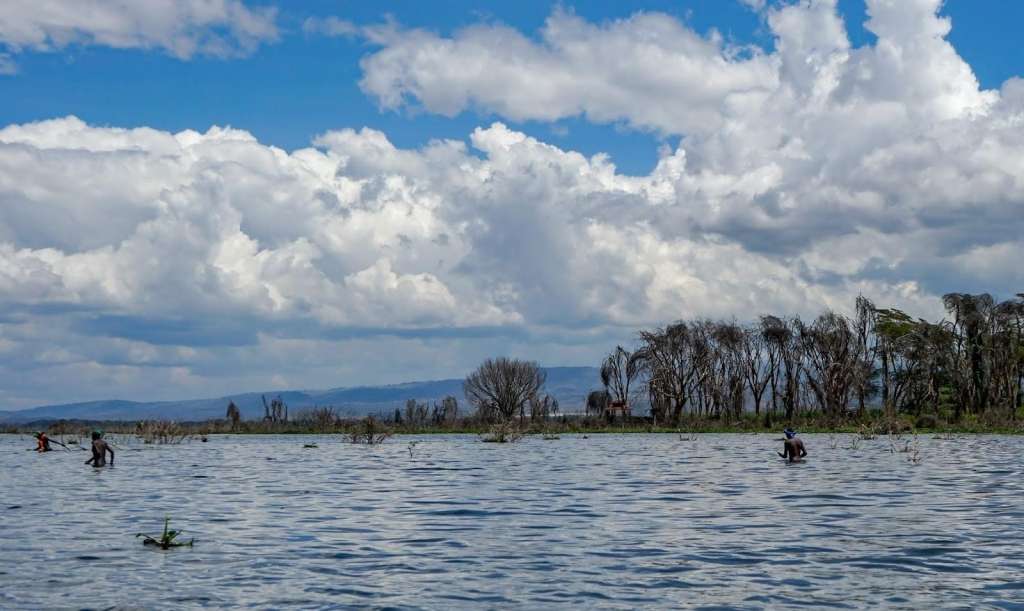 Lake Naivasha