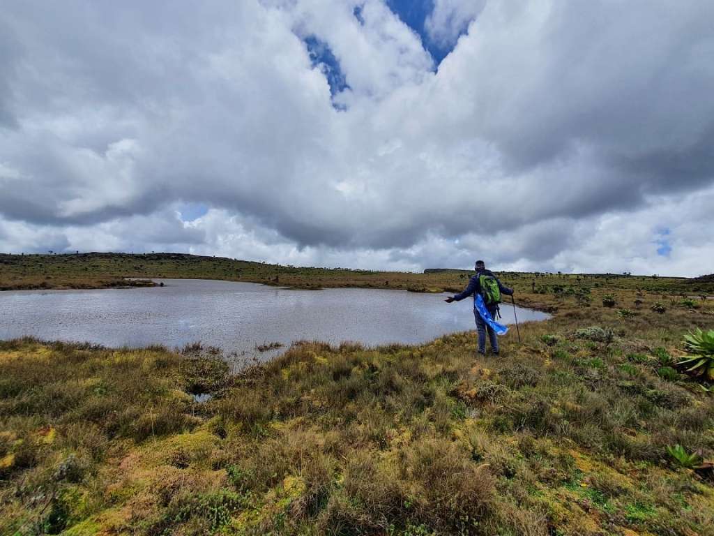 Seven Ponds Hike