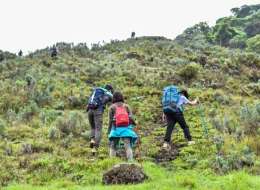 Mount Olesekut Hike