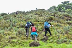 Mount Olesekut Hike