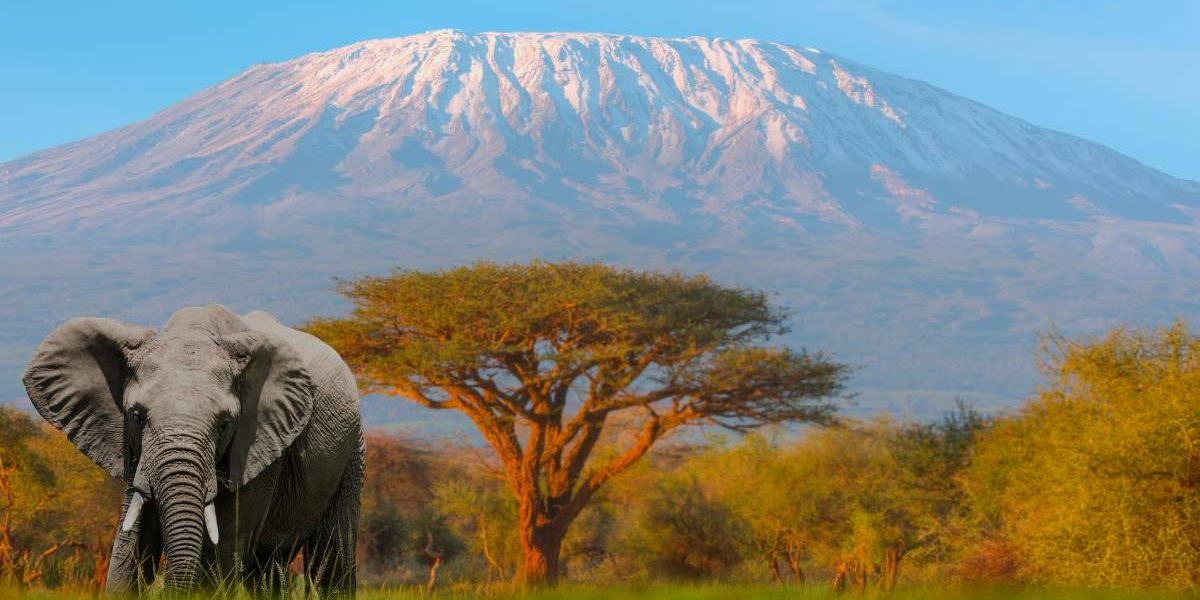 Mount Kenya Climb