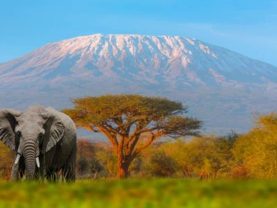 xr:d:DAF2ws167yM:45,j:3643824257787998495,t:23121311 Mount Kenya Climb