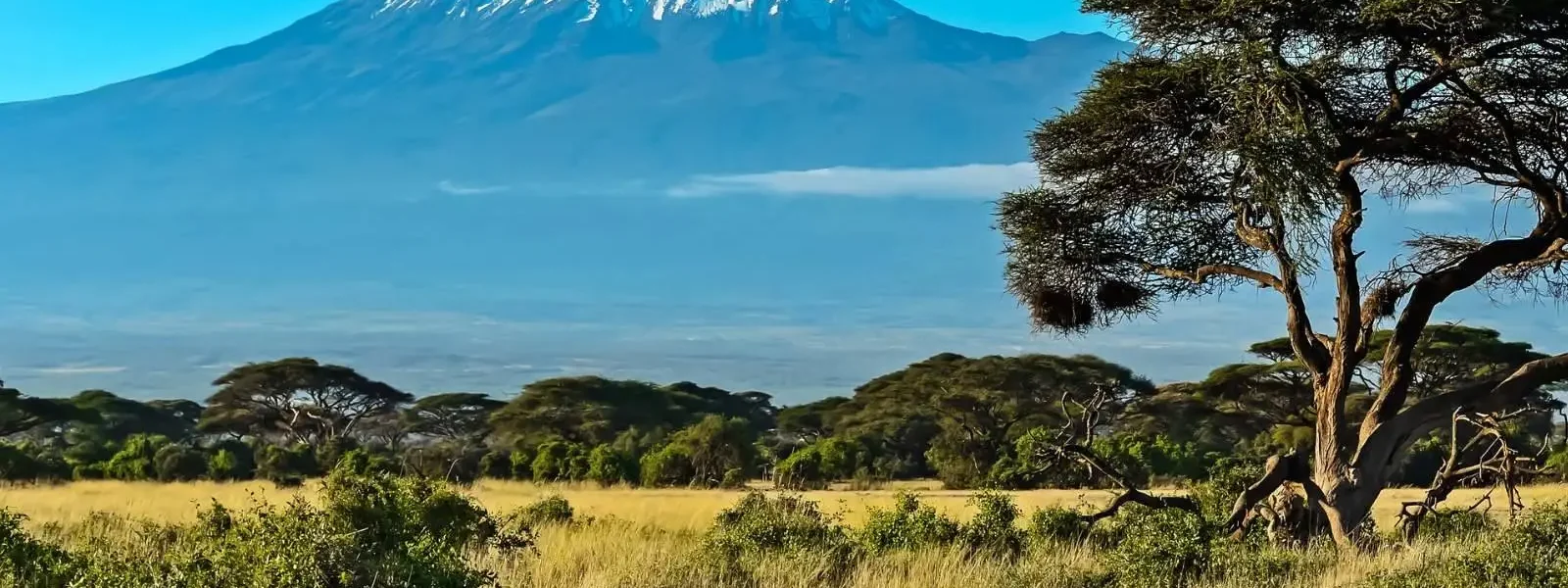 Mount Kenya Adventure