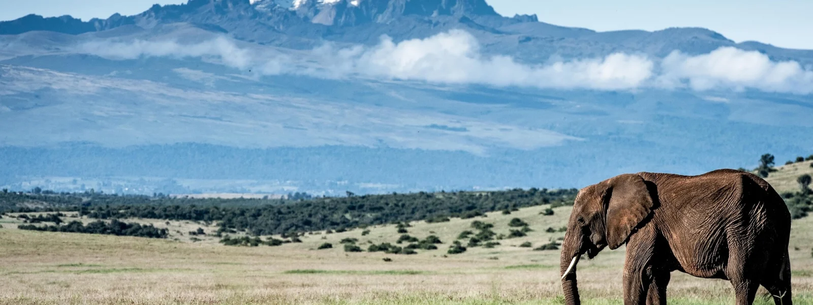 Mount Kenya National Park