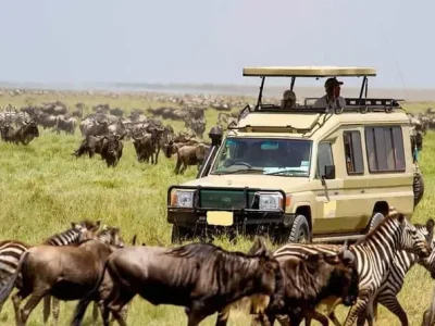 Nairobi National Park
